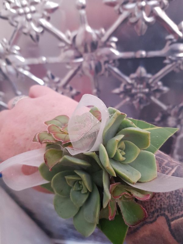 Succulent wrist corsage