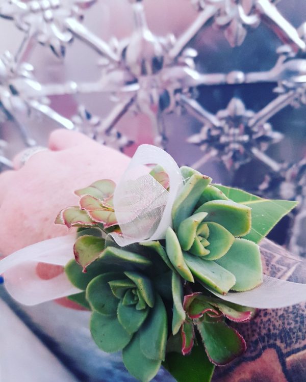 Succulent wrist corsage