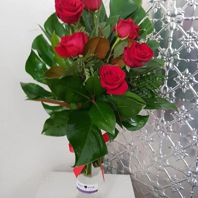 A half dozen red roses in foliage