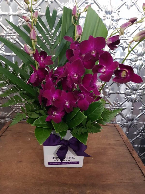 A box of purple orchids with green foliage