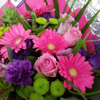 Bright pink and purple flowers.