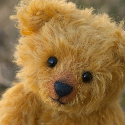 Close-up photo of a teddy bear