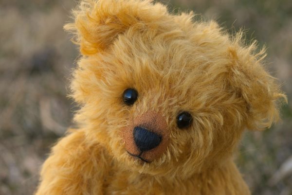 Close-up photo of a teddy bear